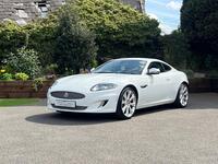 JAGUAR XK